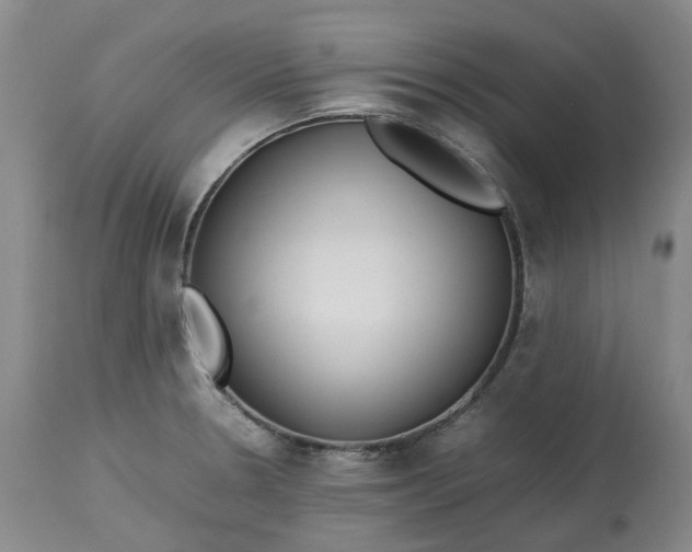 X0000113211330200910011311