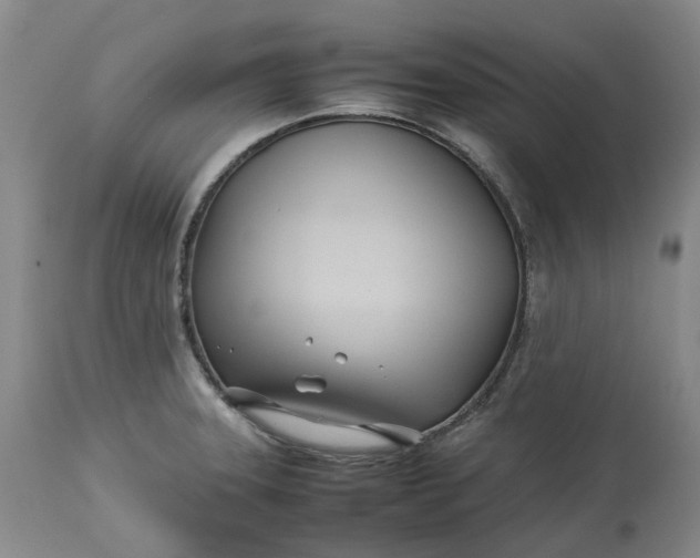 X0000113211331200910011311