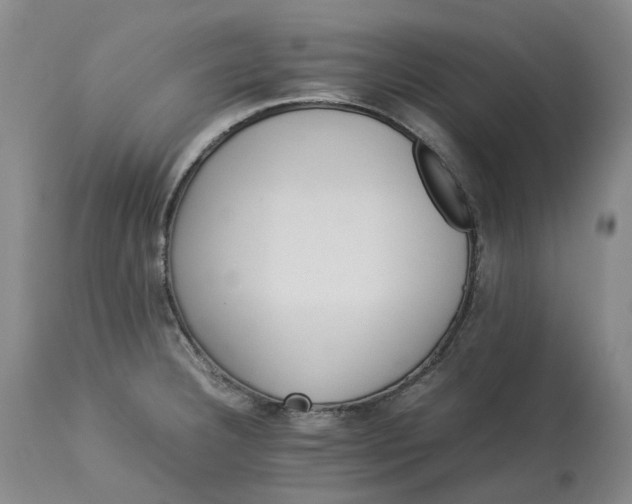 X0000113211332200910011311