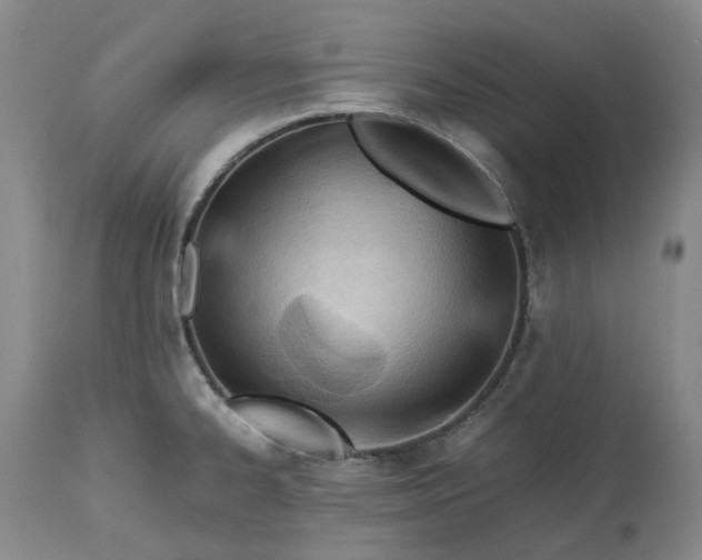 X0000113211334200910011311