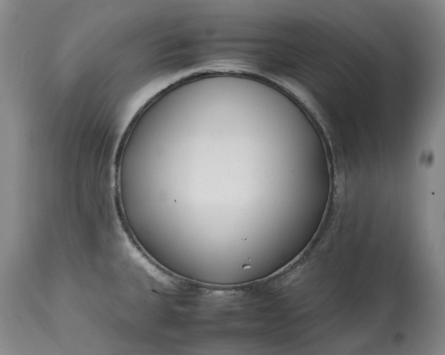 X0000113211335200910011311