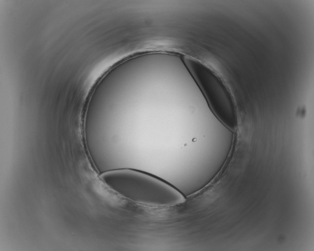 X0000113211336200910011311