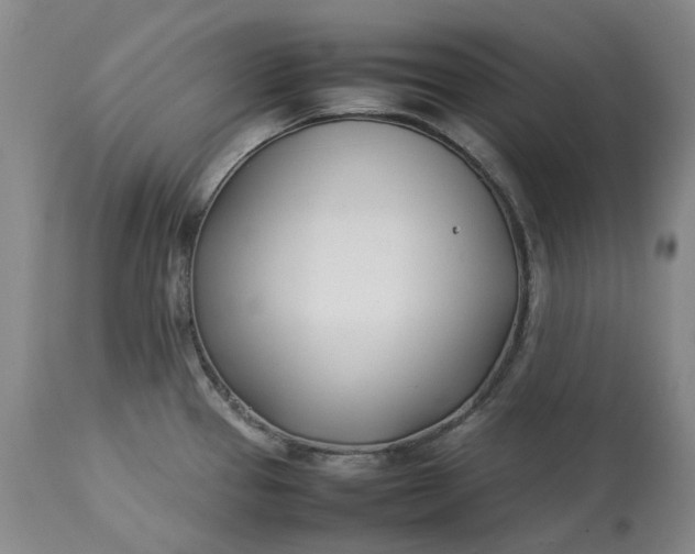 X0000113211337200910011311