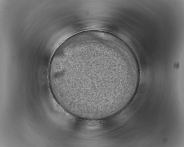 X0000113211338200910011311