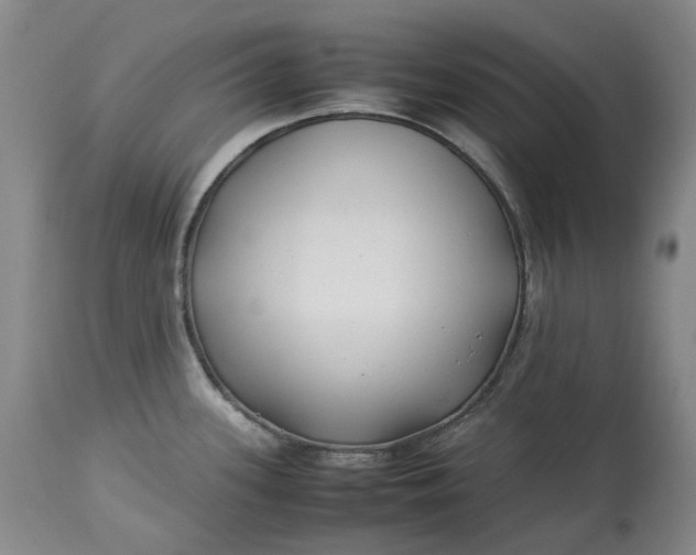 X0000113211339200910011311