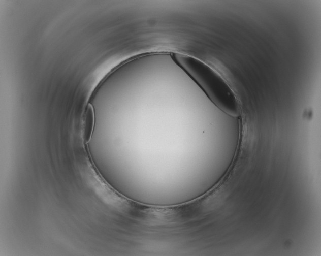 X0000113211340200910011311