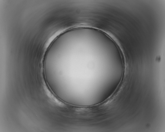 X0000113211341200910011311