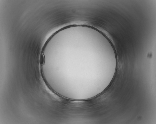 X0000113211343200910011311