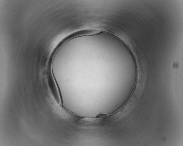 X0000113211344200910011311