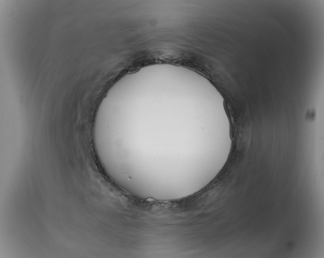 X0000113211345200910011310