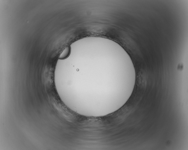 X0000113211346200910011310