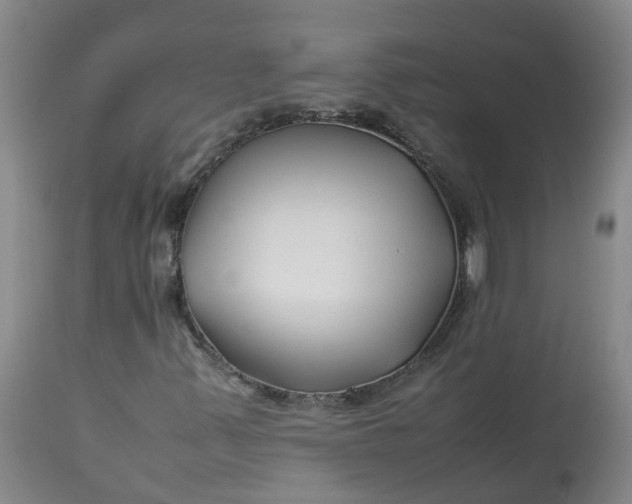 X0000113211347200910011310