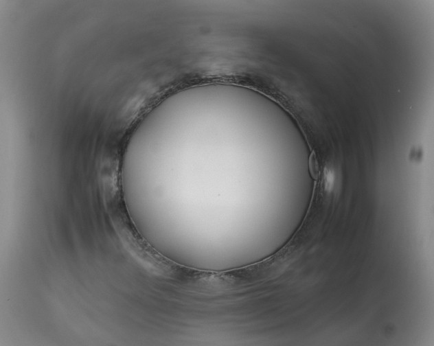 X0000113211348200910011310