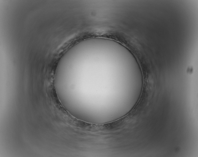 X0000113211349200910011310