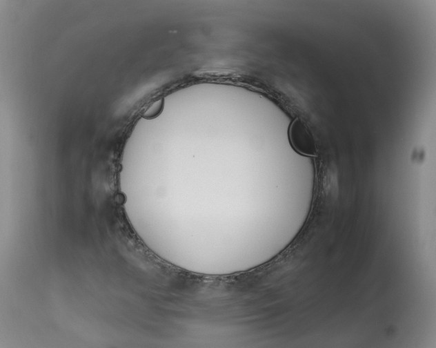 X0000113211350200910011310