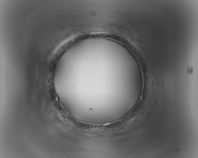 X0000113211351200910011310