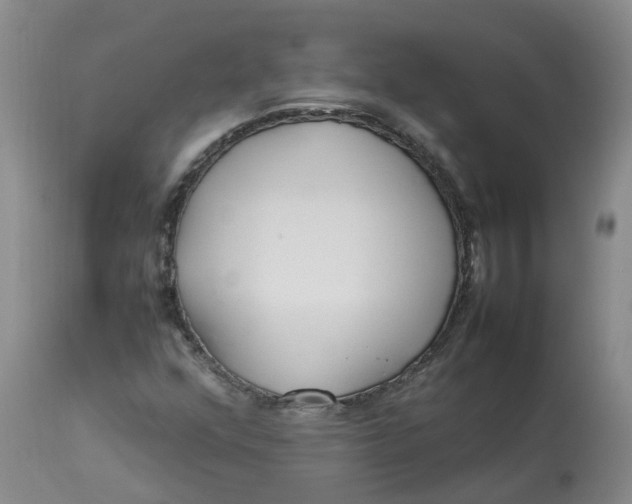 X0000113211352200910011310