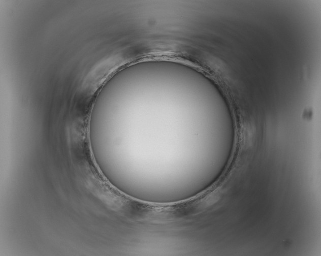 X0000113211353200910011310