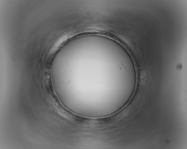 X0000113211355200910011310