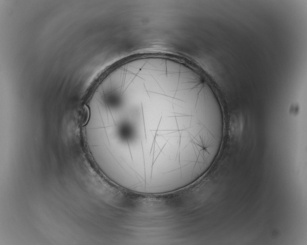 X0000113211356200910011310