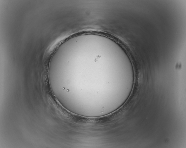 X0000113211359200910011310