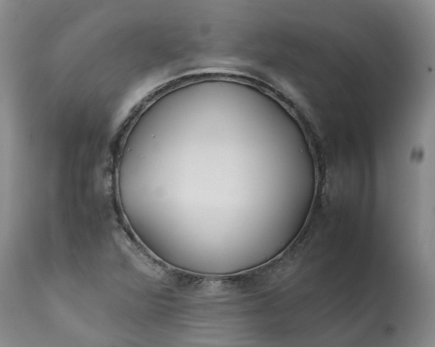 X0000113211360200910011310