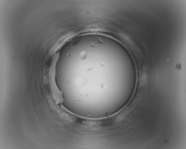 X0000113211361200910011310