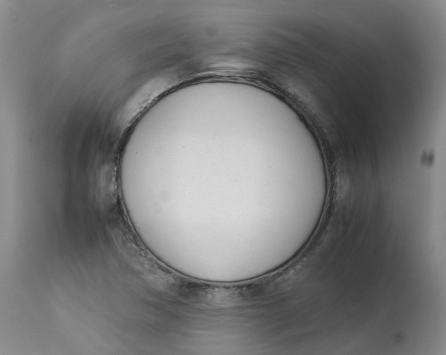 X0000113211362200910011310