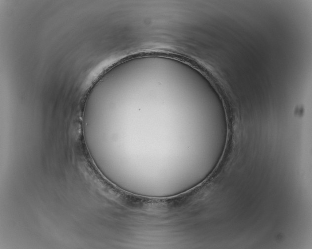 X0000113211363200910011310