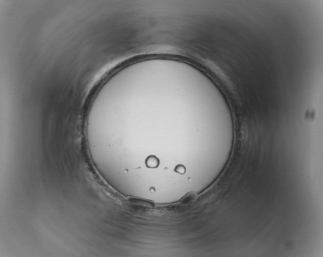 X0000113211364200910011310