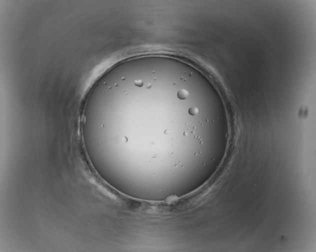 X0000113211365200910011310