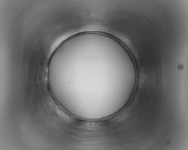 X0000113211366200910011310