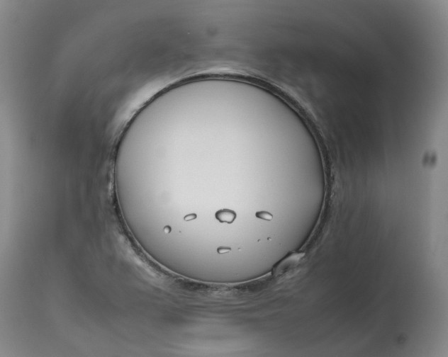 X0000113211367200910011310