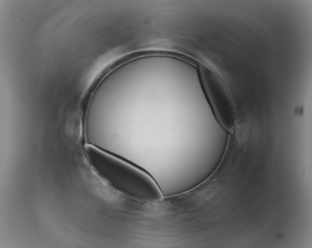 X0000113211368200910011310