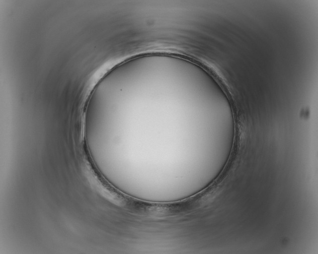 X0000113211371200910011310