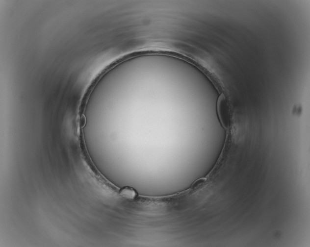 X0000113211372200910011310