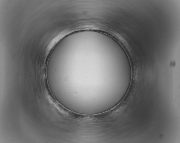 X0000113211373200910011310