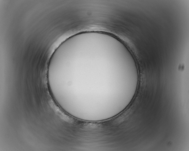 X0000113211374200910011310