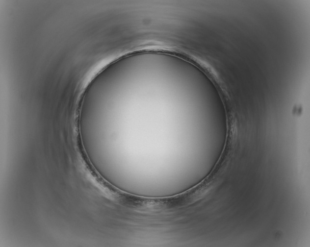 X0000113211375200910011310