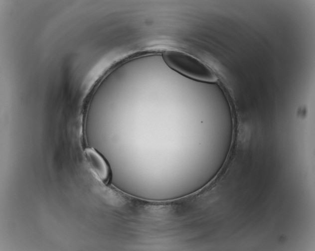 X0000113211376200910011310