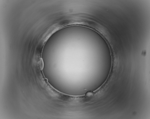 X0000113211377200910011310