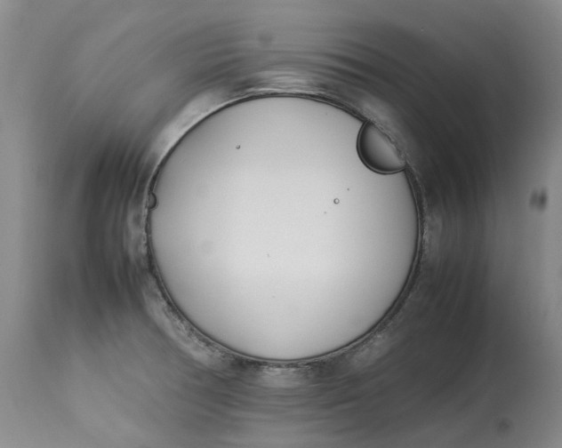 X0000113211378200910011310