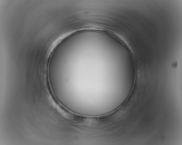 X0000113211379200910011310