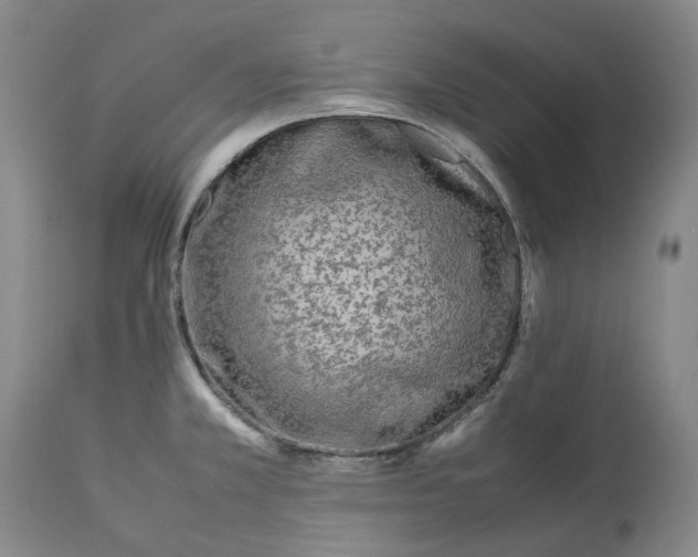 X0000113211381200910011310