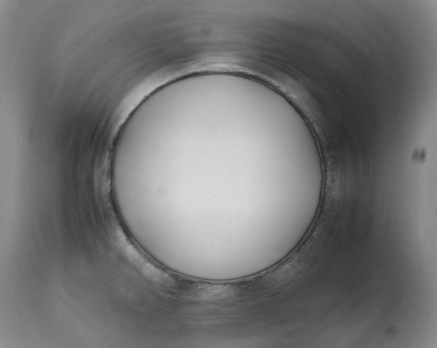 X0000113211382200910011310