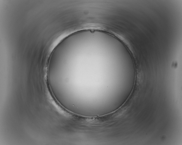 X0000113211383200910011310