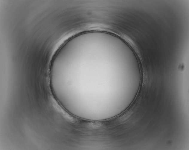 X0000113211384200910011310