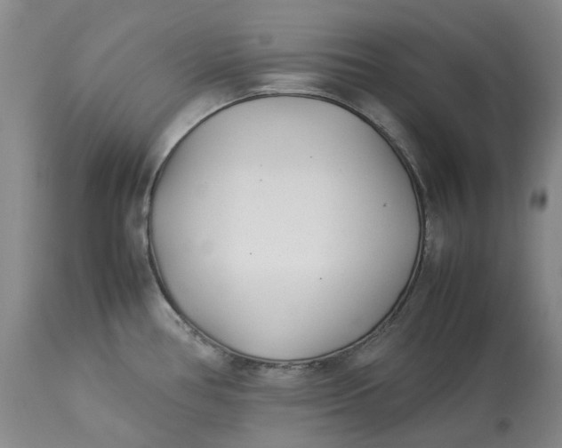 X0000113211386200910011310