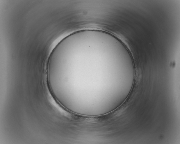 X0000113211387200910011310