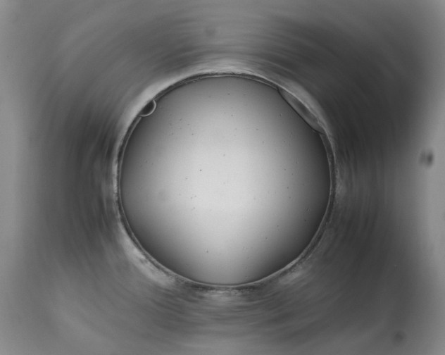 X0000113211388200910011310